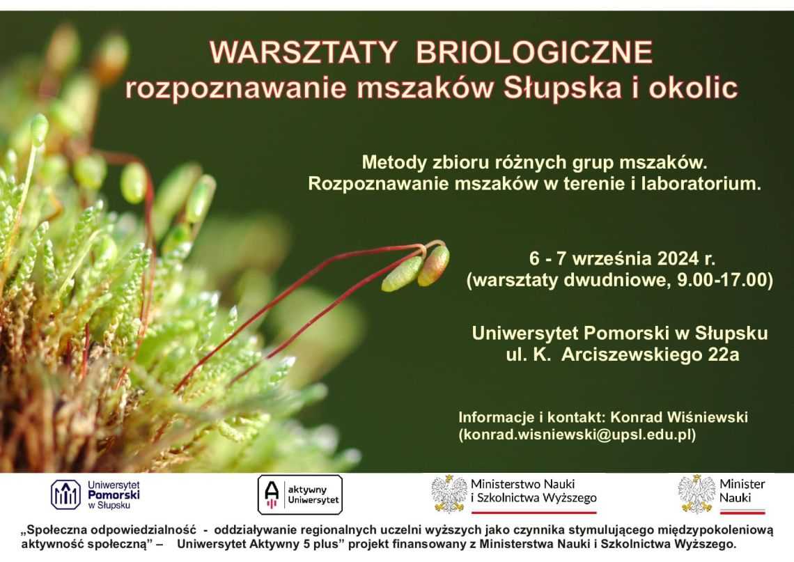 obraz_2024-06-24_103607245.png