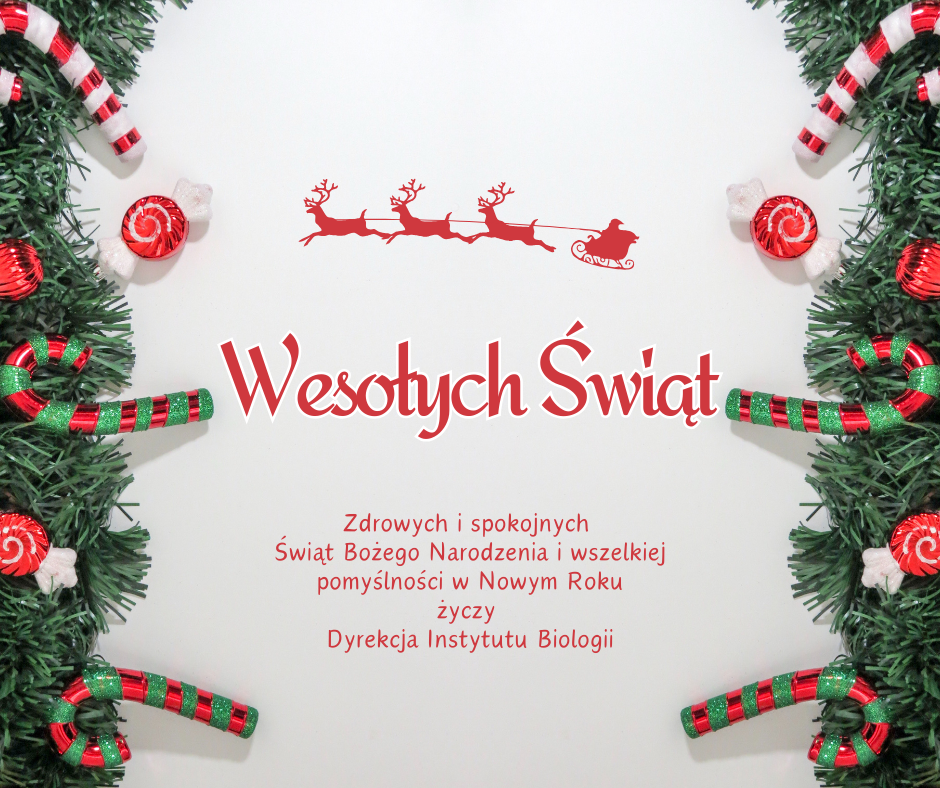 Kartka świąteczna.png